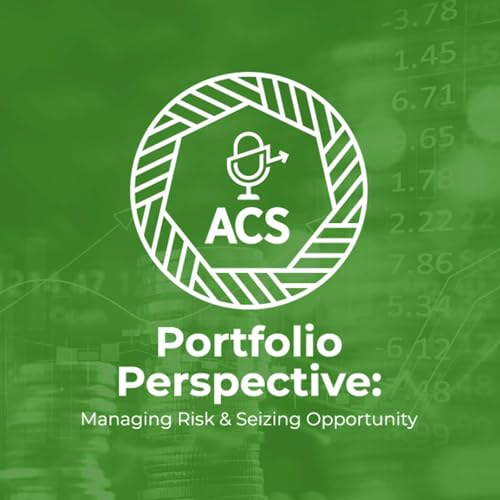 『Portfolio Perspective: Managing Risk & Seizing Opportunity』のカバーアート