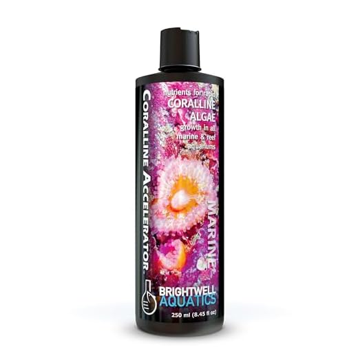 Brightwell Aquatics Coralline Accelerator - Multi-Nutrient Supplement for Coralline Algae Growth in Marine and Reef Aquariums, 250 ml