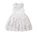 Produktbild Pageantry Prinzessin Kleid Baby Mädchen Sommer Spitzekleid Ärmellos Rosa Partykleider Hochzeit Blumen Kleid Elegant Taufkleid Festlich O-Ausschnitt Tutu Kleid Geburtstag Outfit