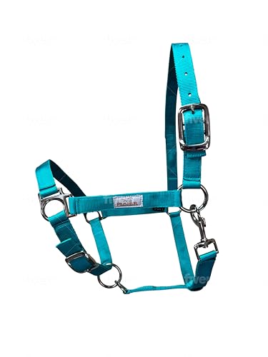 Prairie Horse Supply Cabresto de cavalo de nylon, 2,5 cm de largura, resistente, ajustável (turquesa