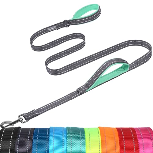 VIVAGLORY Dog Leash Twingrip Double Handle Dog Leash with Traffic Handle Control & 2 Loop for Walking & Training, Reflective Heavy Duty for Puppy Pet Collar, 5ft x 1in, Grey