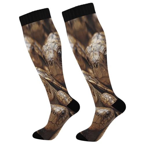 Real Turtle Desert Two Pairs Fun Socks Warm Soft Compression Socks Wear Resisting Easy To Stretch Running Socks