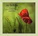 Boccherini: 28 Symphonies