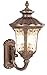 Livex Lighting 7656-50 Outdoor Wall Lantern with Hand Blown Light Amber Water Glass Shades, Moroccan Gold