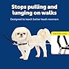 PetSafe Easy Walk No-Pull Dog Harness - The Ultimate Harness to Help Stop Pulling - Take Control & Teach Better Leash Manners - Helps Prevent Pets Pulling on Walks, Petite, Black/Silver #3