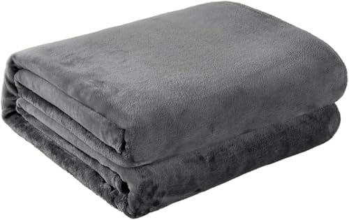 _uѕz 肠 }CNt@Co[ Rۖh_j ÓdCh~ 􂦂 ӂy (100x150cm,O[)