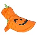 Petbuddy Halloween Costumes Small Dogs Pumpkin