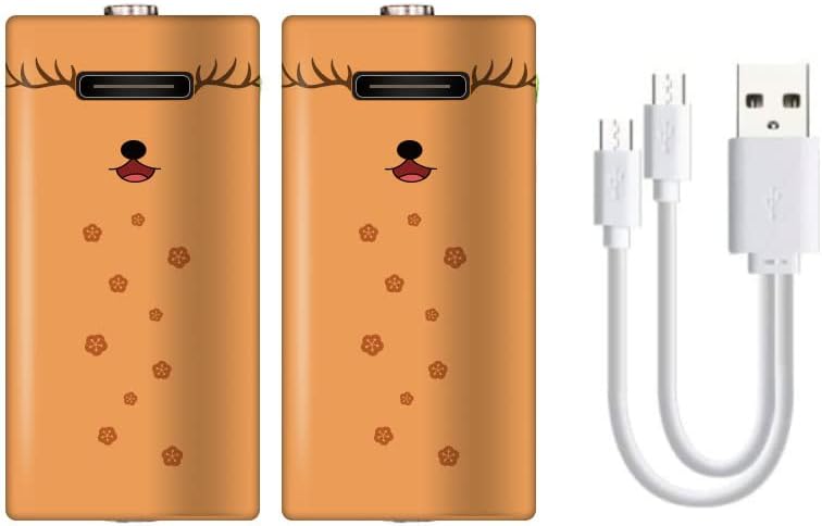 New USB D Lithium ion Rechargeable Battery, High Capacity 1.5V 12000mWh Rechargeable D Battery, 4 H Fast Charge, 1200 Cycle with Type C Cable, Constant Output,2-Pack : Health & Household