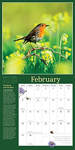 Audubon Birds In The Garden Wall Calendar 2022 #TOP3