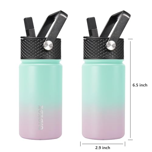 Image of BJPKPK Insulated Water Bottle, 15oz Stainless Steel with Straw Lid