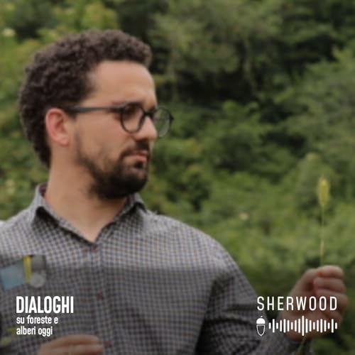 Il futuro dell&rsquo;agroforestazione in Italia - Intervista ad Alberto Mantino
