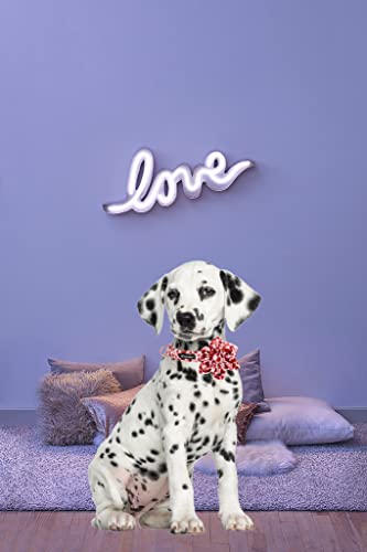 MACA Bates Valentine’s Day Dog Collar with Bow/Flower/Bow tie, Sweet Heart Adjustable Collar for Small Medium Large Dog… - Image 4