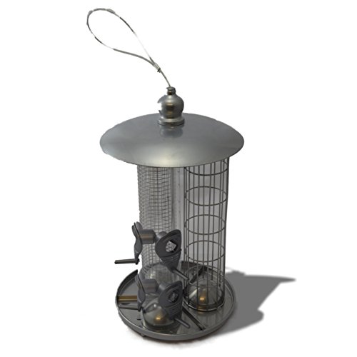 Kingfisher - Comedero de Aves 3 en 1, Un comedero