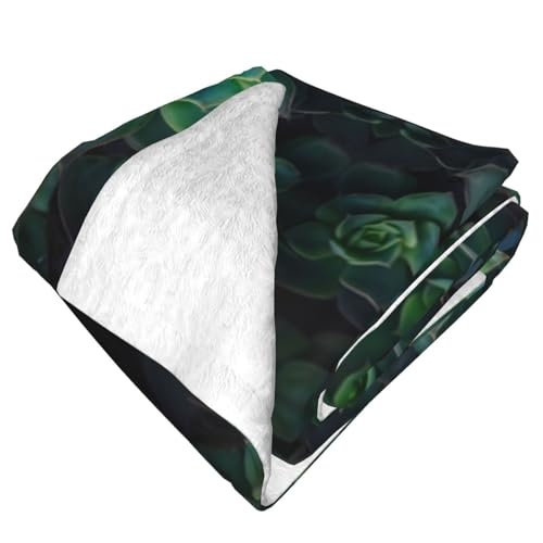 Couverture en peluche compacte et douce pour lit et voyages - 4