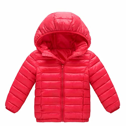 Cat Toddler Shirt Sized Boys And Girls Warm Cotton Padded Jacket Autumn And Winter Children's Toddler (Red, 9-10Years)