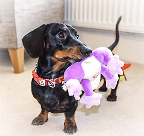 Pet Qwerks Frog Squeaky Sound Plush - Strong & Durable Stuffed Pet Toy with Funny Squeaks for Small, Medium, Large Dogs & Puppies (P179)
