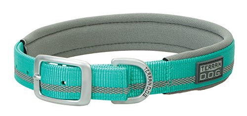 Terrain D.O.G. Reflective Neoprene Lined Dog Collar, 21" (19 - 22 in., 1 in. width), Mint