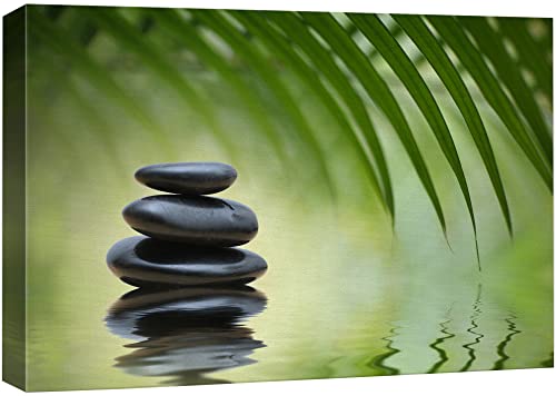 wall26 Canvas Print Wall Art Black Rocks on Seren Green Tropical Lake Floral Nature Photography Realism Bohemian Scenic Relax/Calm Cool for Living Room, Bedroom, Office - 32"x48"