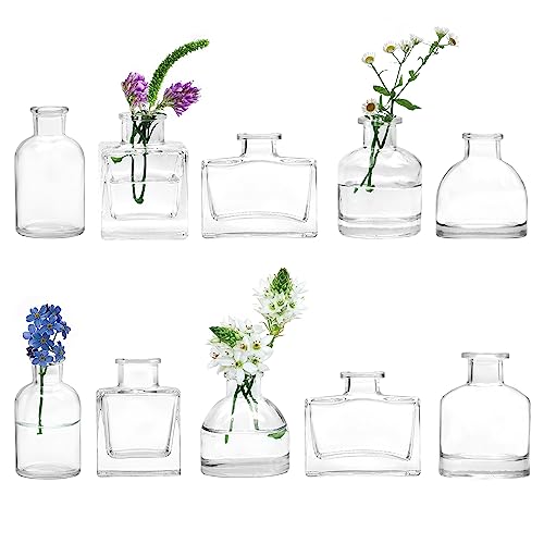 Amazon.de Best Sellers The most popular items in Vases