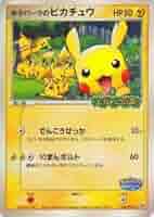 ポケパークのピカチュウ PROMO PCG-Pプロモカード 043/PCG-P 状態B〕ポケパークのピカチュウ【P】{043/PCG-P}