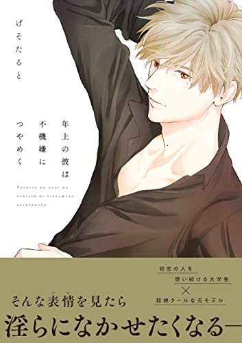 年上の彼は不機嫌につやめく【電子限定特典つき】 (Bs-LOVEY COMICS)