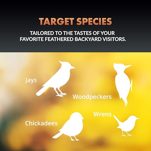 Newhouse Pet DIY Wooden Birdhouse Kit NHP-DIYH-SQ, Easy-to-Build DIY Birdhouse Kit for Kids, Arts and Crafts for Adults and Kids, Bird House for Outside with Weather-Resistant Acrylic Paints