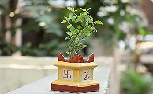 Lyallpur Stores Tulsi Ceramic Planter - Medium (Multi Color, 13 cm) Plant Not Included (B0839C26M6) Amazon Price History, Amazon Price Tracker