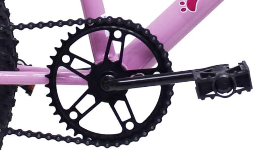 Bicicleta Aro 20 Bike Infantil Meninas feminina cesta e rodinhas Saidx (Rosa)