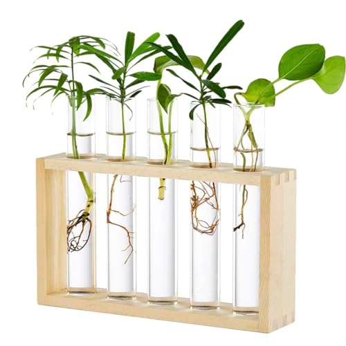 Image of ecofynd Test Tube Planter with Wooden Holder, Air Planter Glass Vase Holder with 4 Test Tube, Home Decor Hydroponic Plant Stand for Table Top, Desktop, Living Room, Office (TTP003)