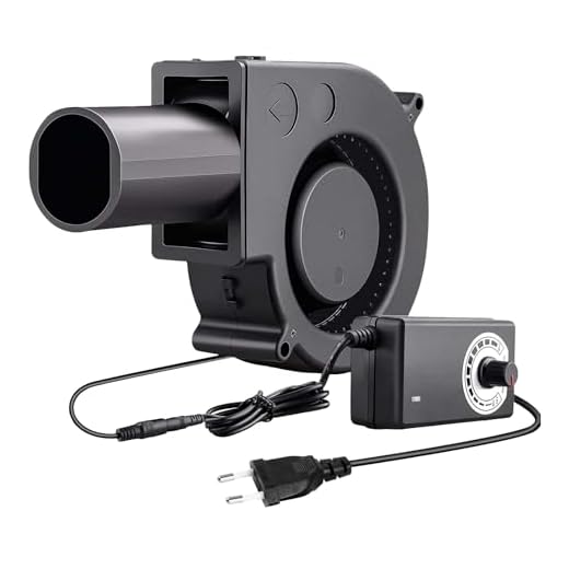 Ventilador Radial De 12 V, Ventilador De Refrigeración Ajustable Ventilador De Turbina De 220 V Con Controlador De Velocidad Para Picnic Calentadores De Camping Parrilla Estufa De Chimenea Inflable
