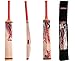 Kashmir Willow Leather Ball Cricket Bat, Exclusive Cricket Bat for Adult Full Size with Free Best Bat Cover & Protection Sheet