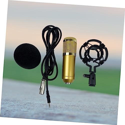 Microphone à condensateur de studio avec membrane large et XLR plaqué or