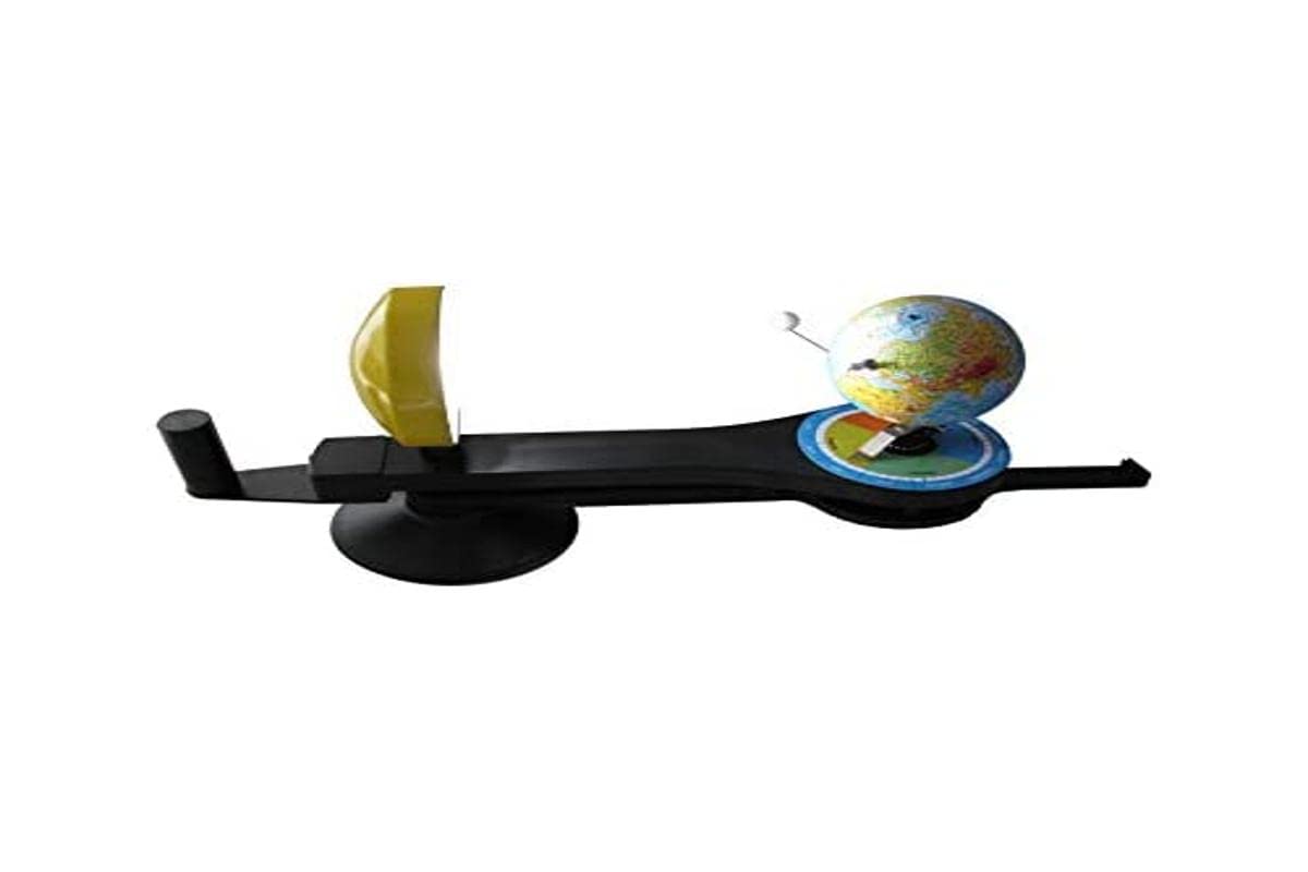 3B Scientific U19600 - Modelo Anatómico De Tulipanes