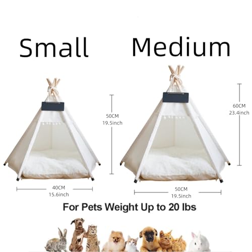 Mascotas, Pet Products Imagen adicional