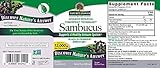 Nature's Answer Alcohol-Free Sambucus Black Elder Berry Extract, 8-Fluid Ounces