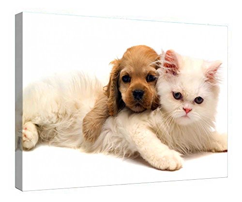 Impression sur toile haut de gamme avec cadre en bois de pin motif Purrrrfect