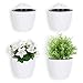 MyGift 7.5 Inch Wall Mounted White Plastic Hanging Self Watering Planter Pot, Small Flower Cactus Herbs Plant Container Wall Planter Set of 4