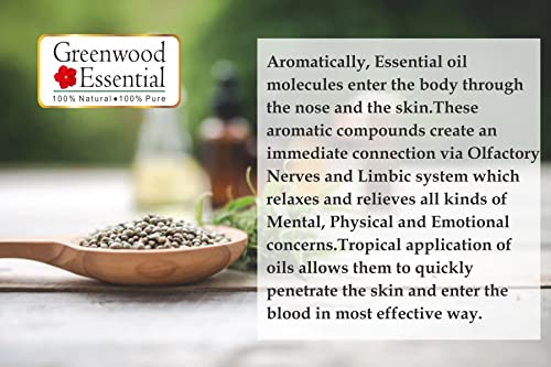 Image of Greenwood Essential APPREHENSIVE Anxiety Relief - Aromatherapy Essential Oil Blend of Bergamot, Lavender, Neroli, Rose, Melissa, Geranium, Cedarwood, Patchouli & Orange Essential Oils 10ml