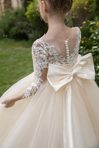 MCieloLuna Long Sleeve Lace Flower Girl Dress Puffy Tulle First Communion Dresses for Girls 2025 Toddlers Wedding Gown4