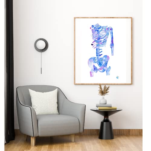 Medpapers Chiropractor Wall Art, Chiropractic Office Decor, Different Sizes, Physical Therapy Artwork, Spine Anatomy Poster, Fine Art Print (16.5X23.4 In (A2)) #TOP2