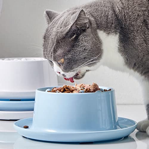 Slow Feeder Cat Bowl,Raised Cat Slow Feeder, Elevated Cat Bowls For Slow Eating, Pet Slow Feeder For Wet & Dry Food,Prevent Vomiting Improves Digestion (White) #TOP4