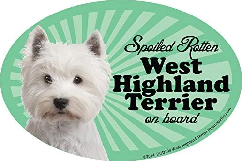Prismatix Decal Westie Car Magnets: Spoiled Rotten Westie - Oval 6" x 4" Auto/Truck/Refrigerator/Mailbox (Funny Car Decals, Dog Magnet, West Highland Terrier)