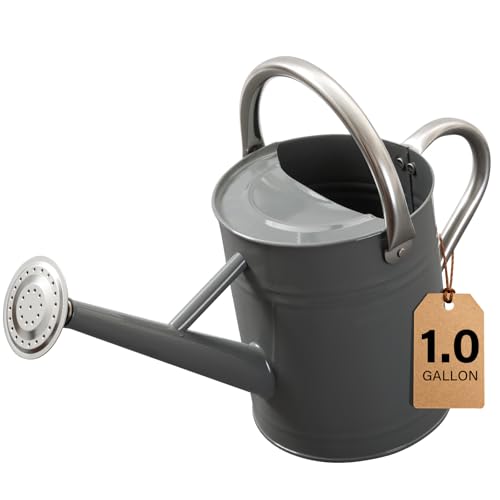 1 Gallon Metal Watering Can for Outdoor&Indoor Plants