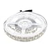 V-TAC Striscia Led da Interno SMD 3528 8W - 5 Metri - Striscia LED Adesiva per Casa, Cucina, Camera, Ambienti Interni - Luce Bianca Calda 3000k - Strisce LED Luminosità 800 Lumen - Alimentata 12V