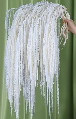 20Pcs Preserved Hanging Amaranthus Flowers - Ivory White 23"-27" Extra