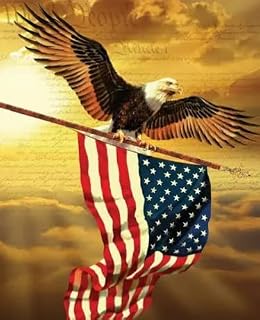 American Eagle Soaring with The American Flag Edible Cake Topper-1/4