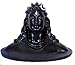 JAIPUR ACE Adiyogi Shiva Statue for Car Dash Board, Pooja & Gift, Mahadev Murti, Idol, Lord Adiyogi Shankara for Home & Office Decor (ADIYOGI JI in Black) (Adiyogi), Resin