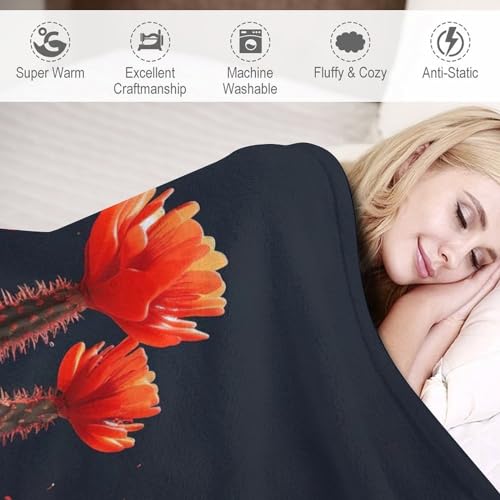 Couverture polaire flanelle cactus pour protéger canapé et lit - 5