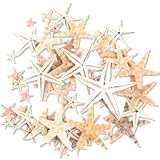 COYUN 50 Piezas De Elementos Marinos De Estrella De Mar, 1-2cm Accesorios De Fotografía, Decoración del Hogar, Materiales Artesanales DIY, Microadornos para Paisajismo