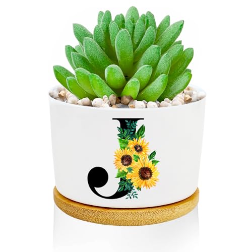 Initial J Sunflower Succulent Plant Pots 3 Inch Ceramic Cactus Flower Pots